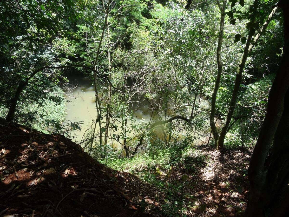 Chácara, 3 quartos, 2 hectares - Foto 4