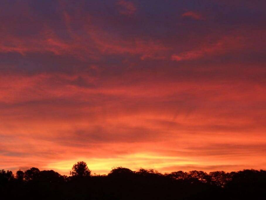 Chácara, 3 quartos, 2 hectares - Foto 8