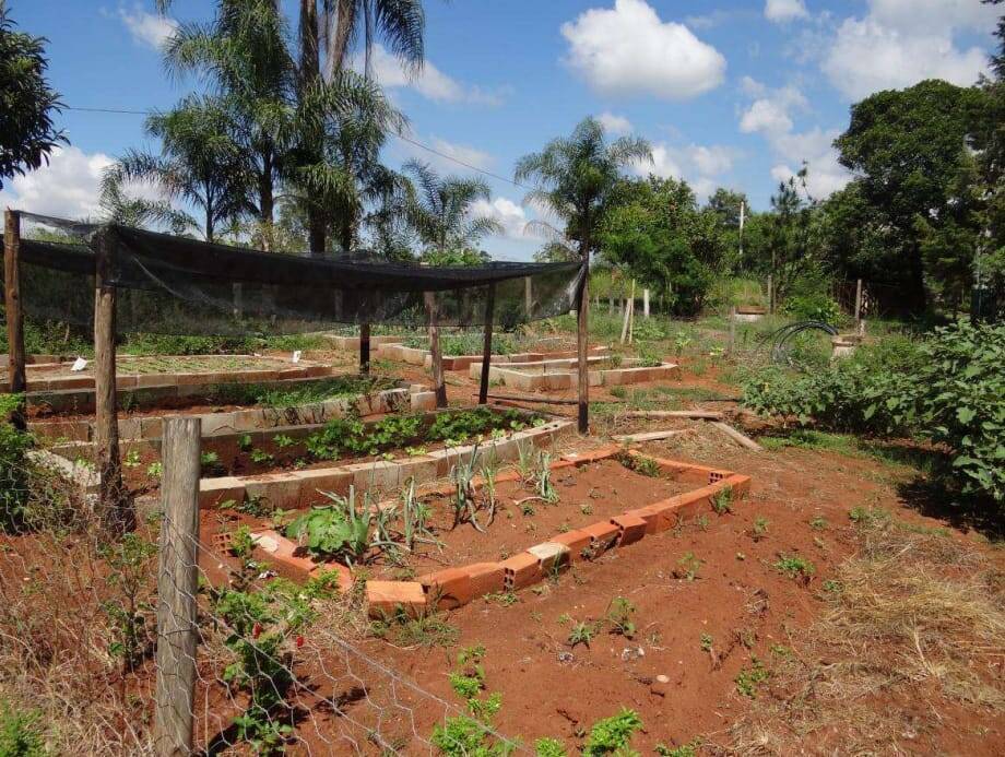 Chácara, 3 quartos, 2 hectares - Foto 12