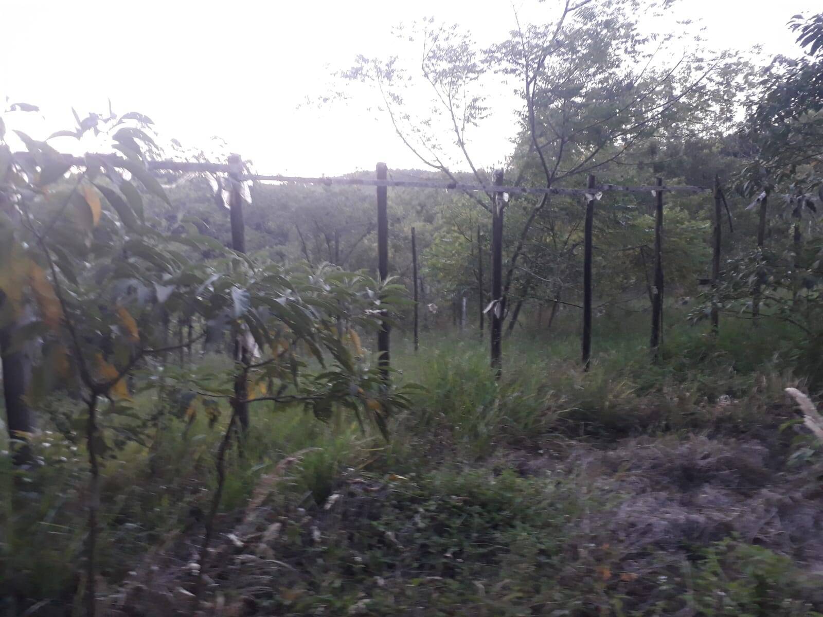 Terreno, 1 m² - Foto 3