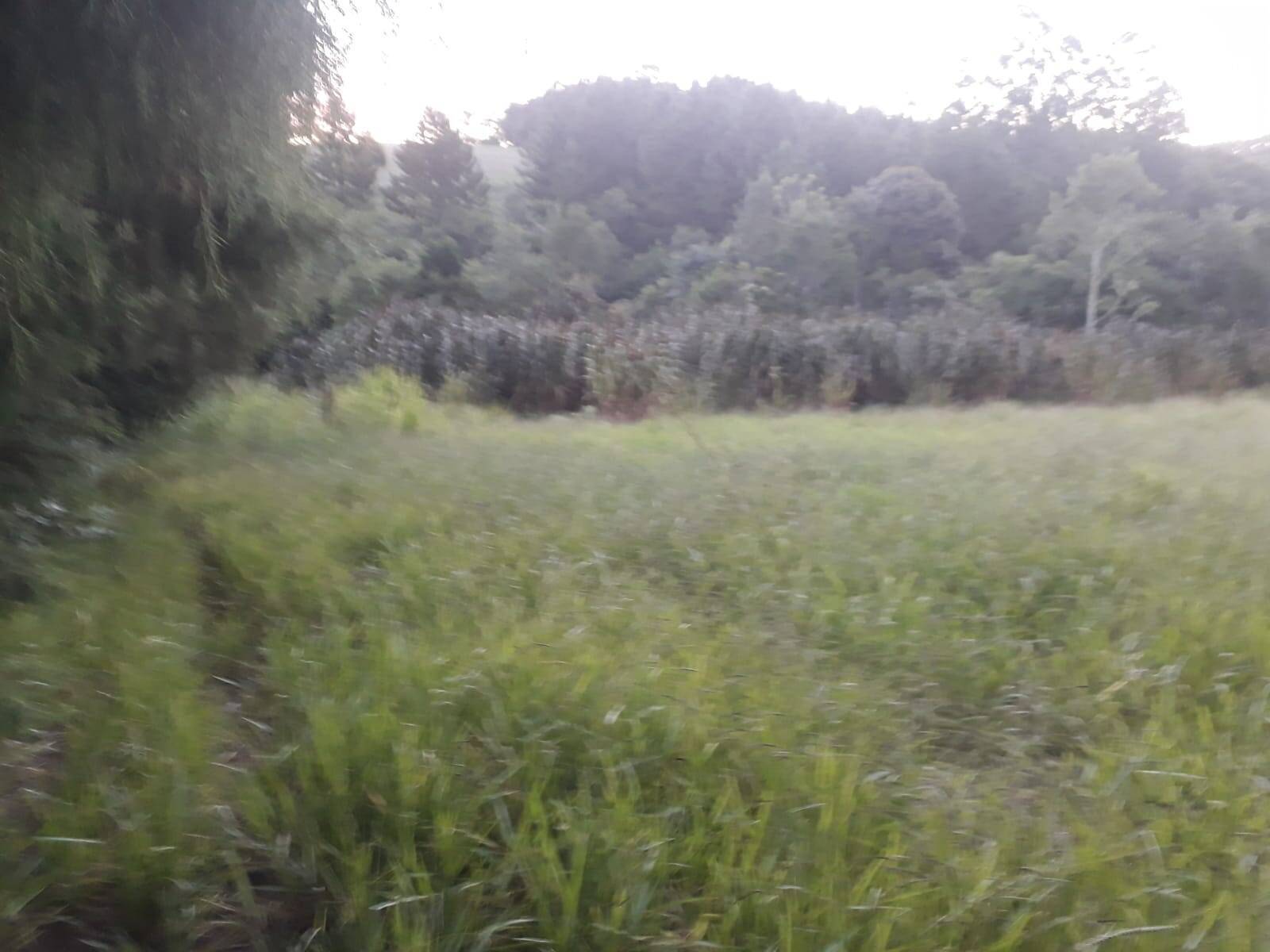 Terreno, 1 m² - Foto 5