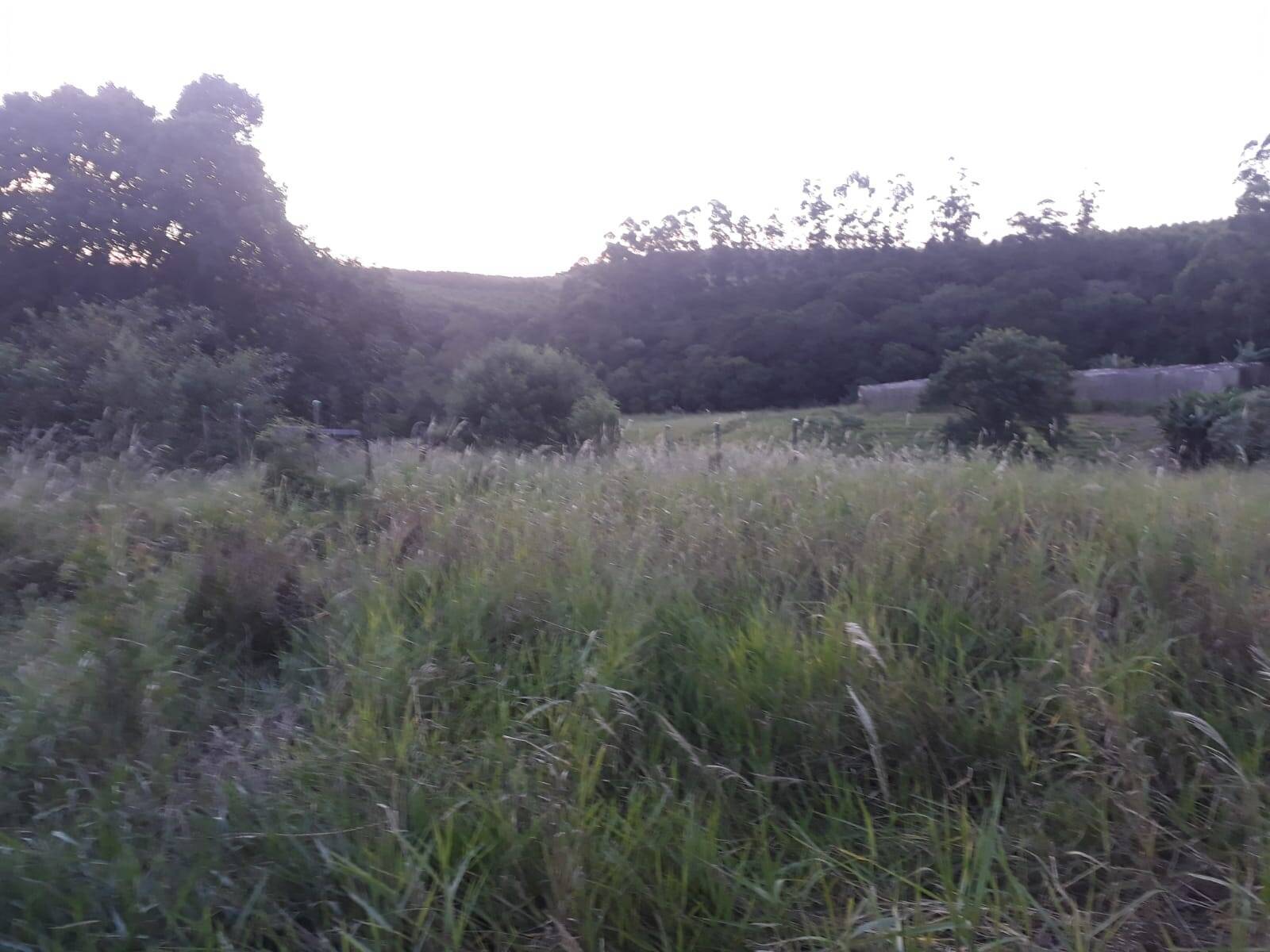 Terreno, 1 m² - Foto 9