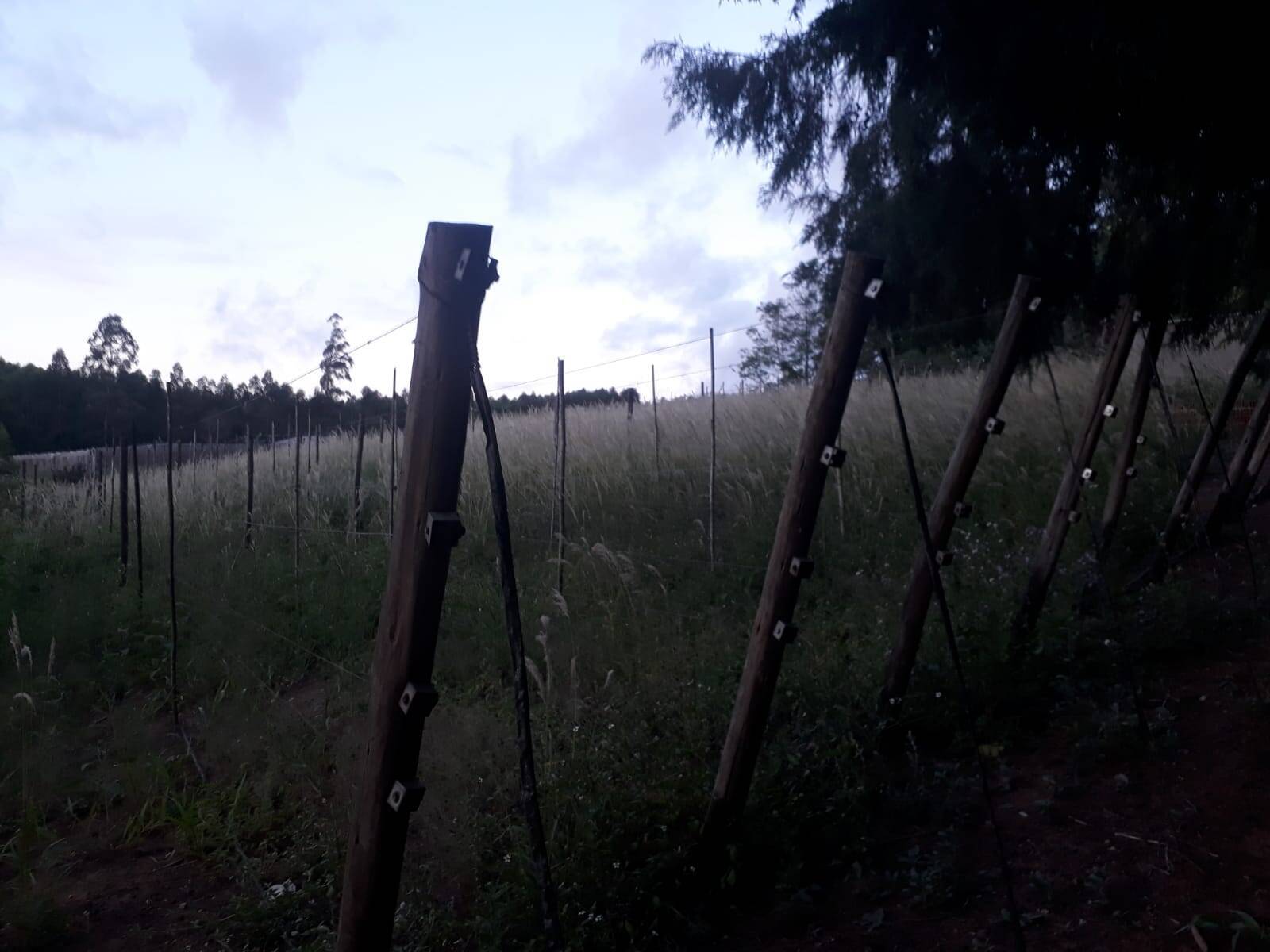 Terreno, 1 m² - Foto 7