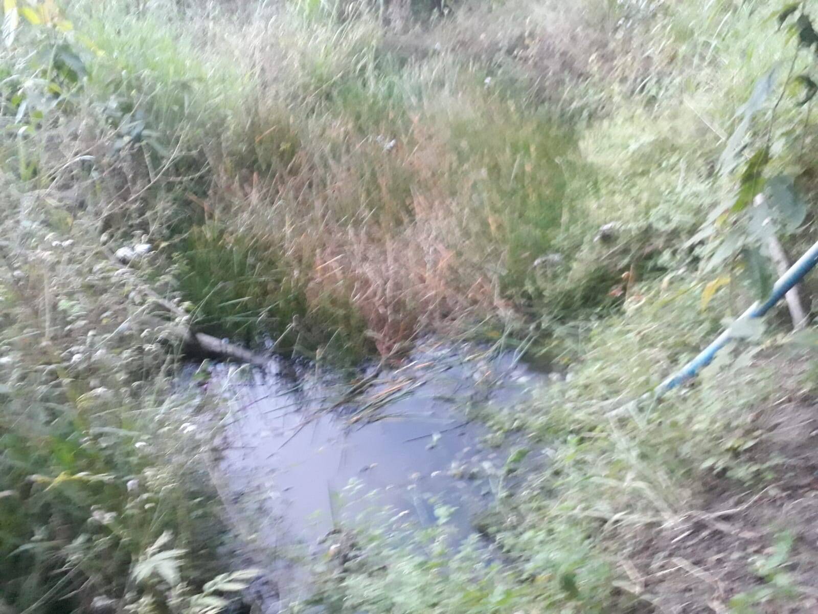 Terreno, 1 m² - Foto 15