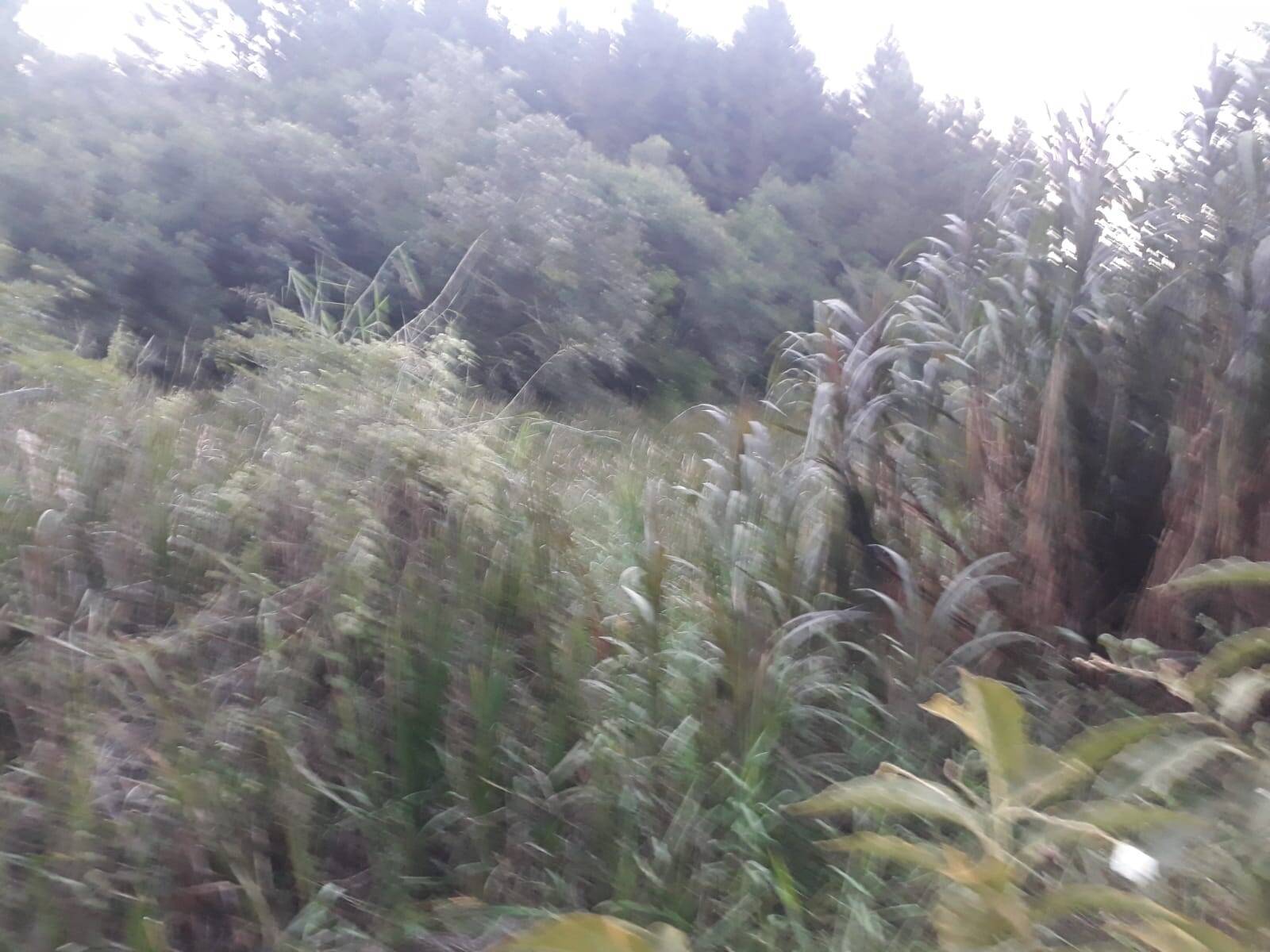 Terreno, 1 m² - Foto 16