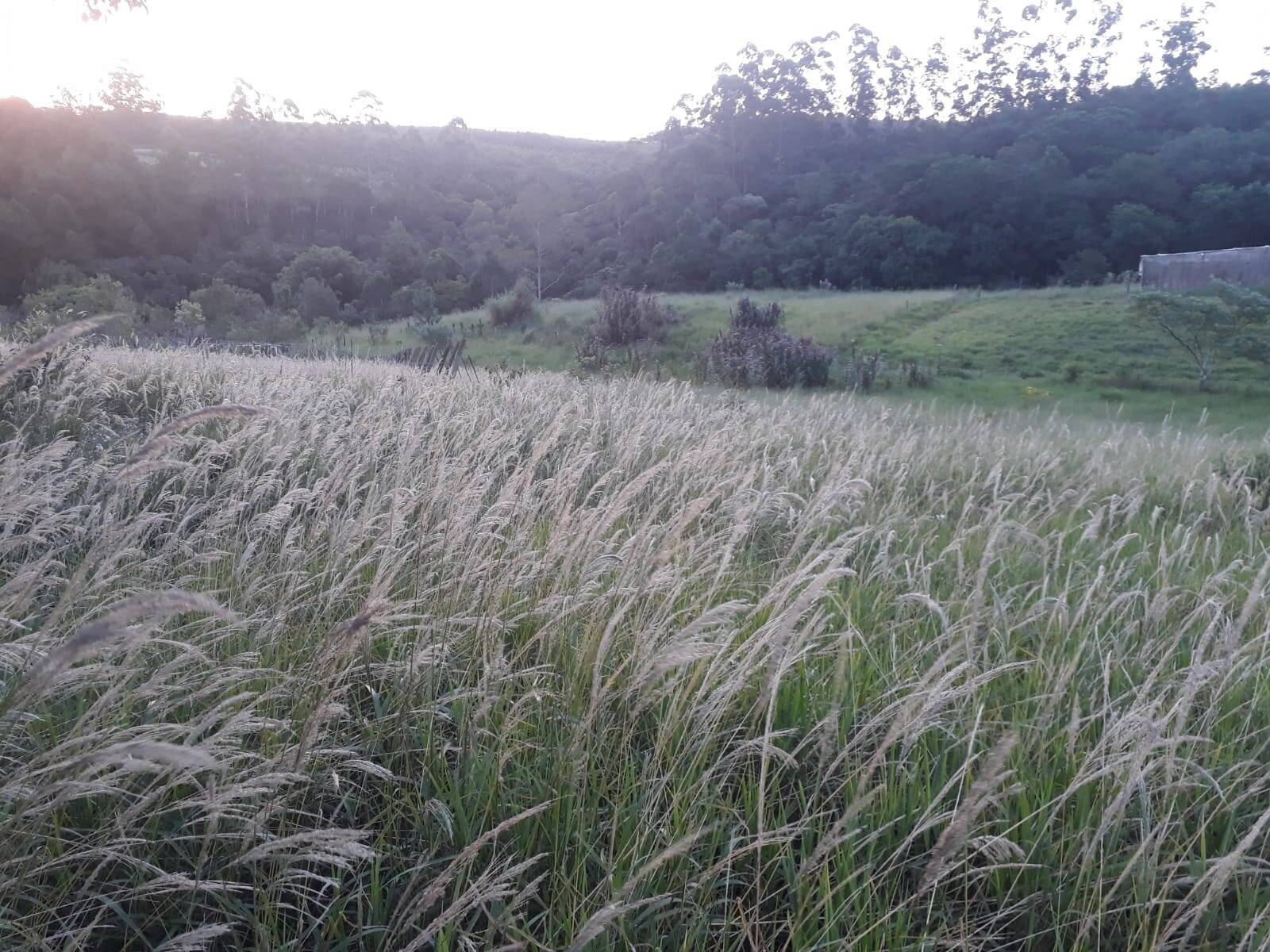 Terreno, 1 m² - Foto 17