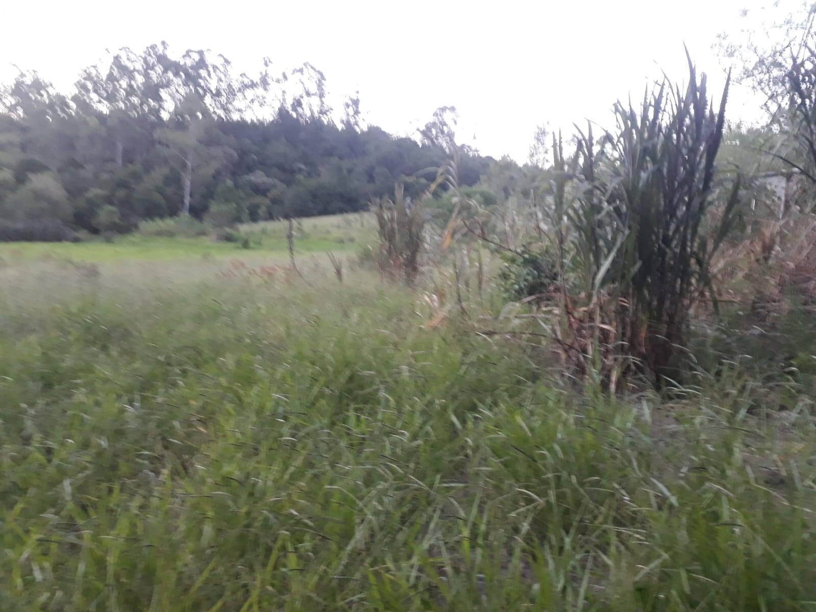 Terreno, 1 m² - Foto 18