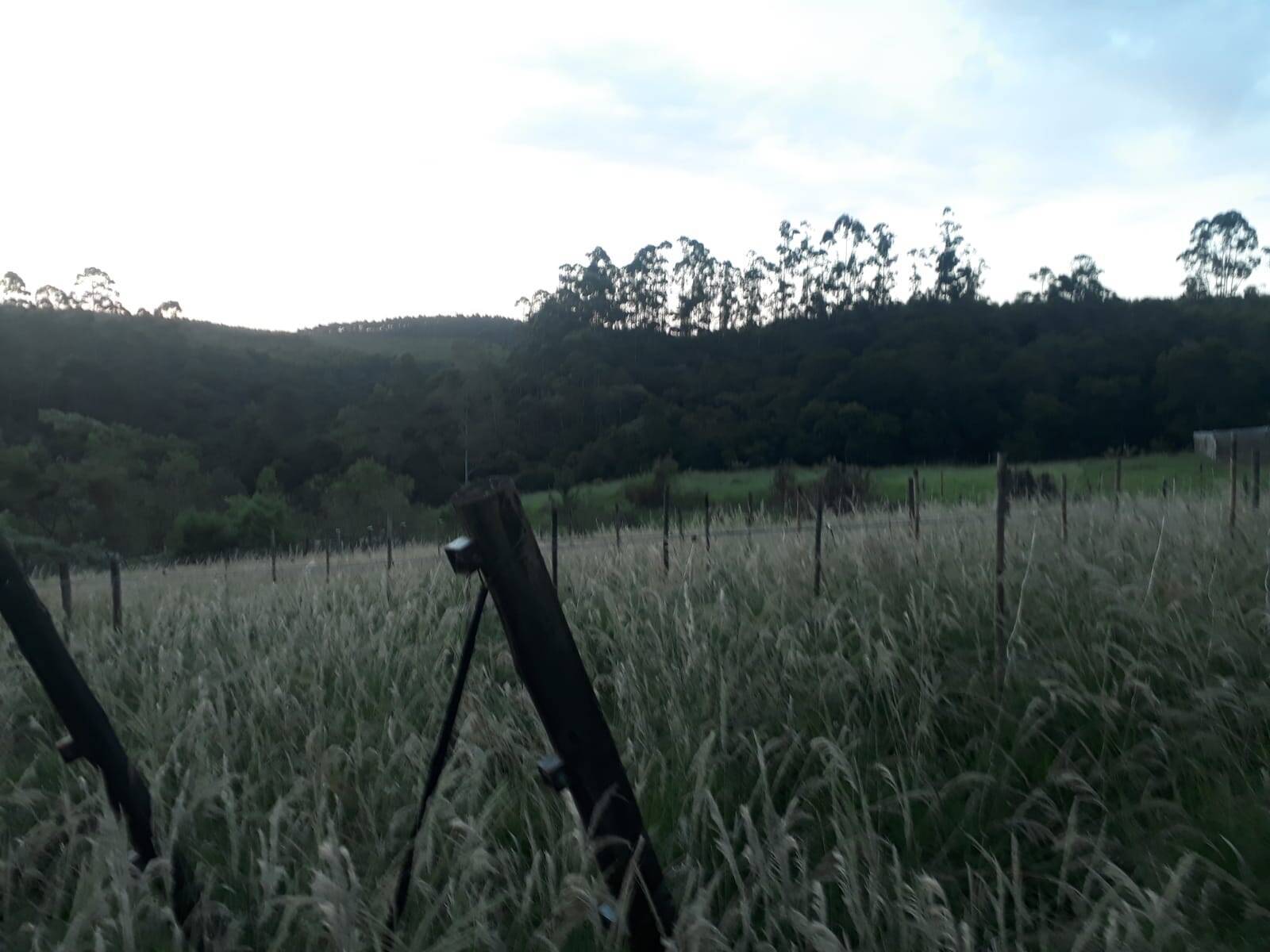 Terreno, 1 m² - Foto 19