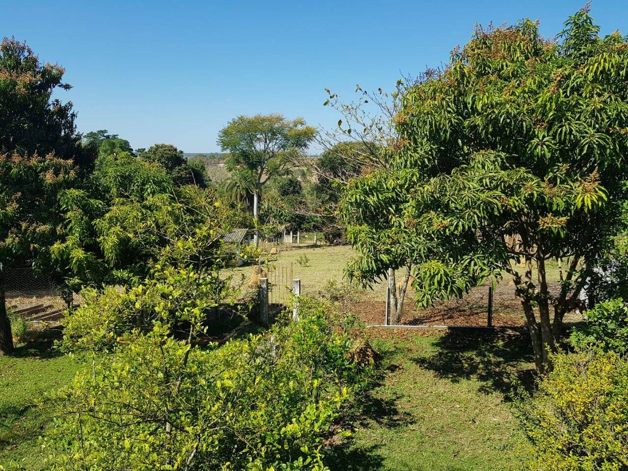 Chácara, 5 quartos, 2800 m² - Foto 11