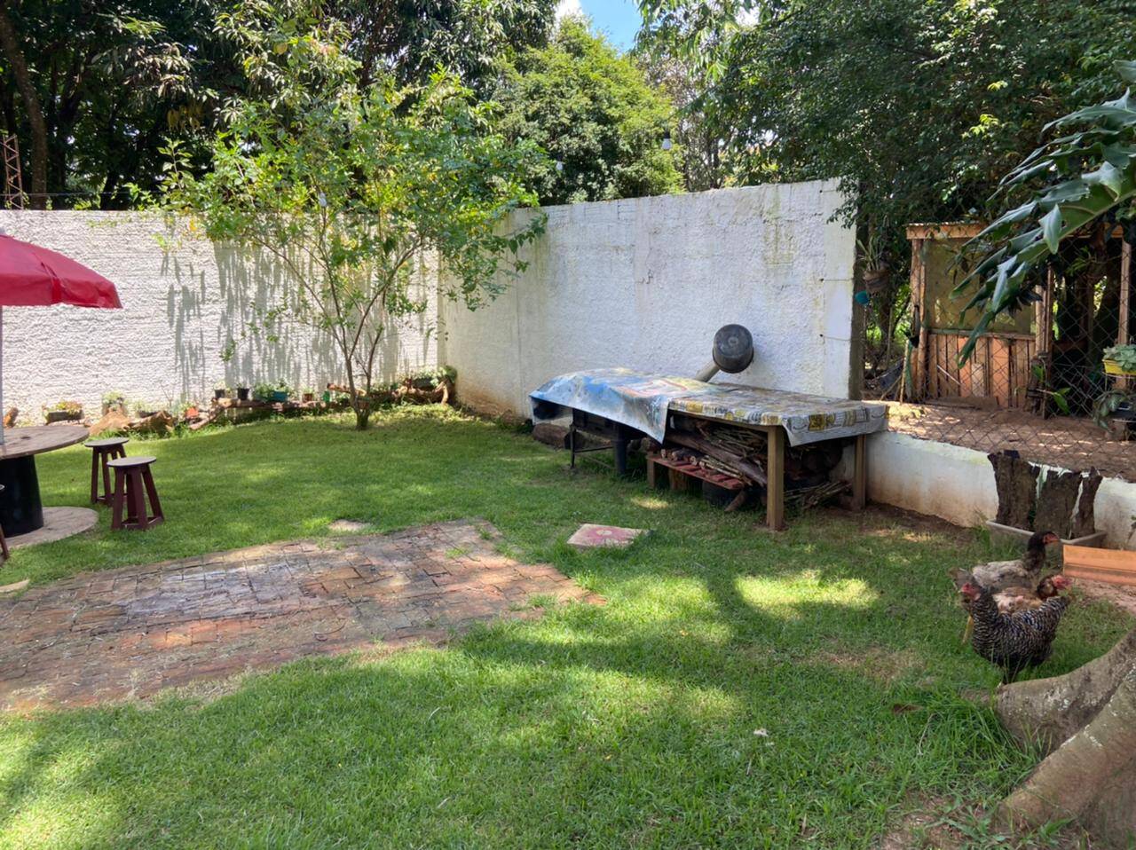 Sítio, 2 quartos, 2000 m² - Foto 2