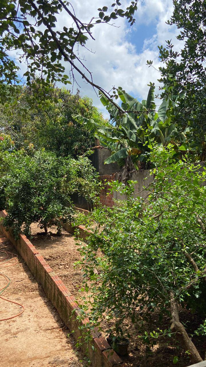 Chácara, 2 quartos, 2000 m² - Foto 7