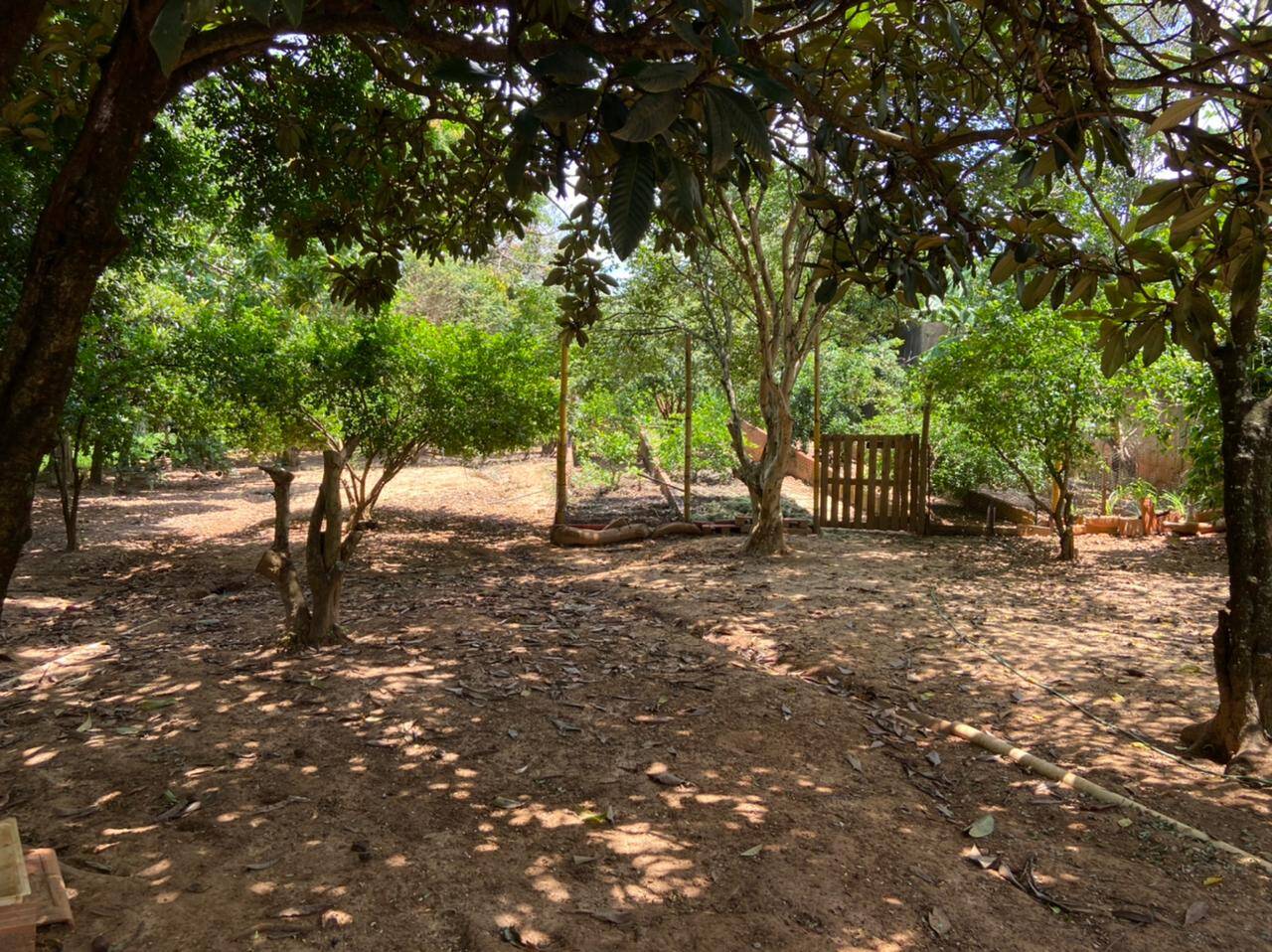 Chácara, 2 quartos, 2000 m² - Foto 17