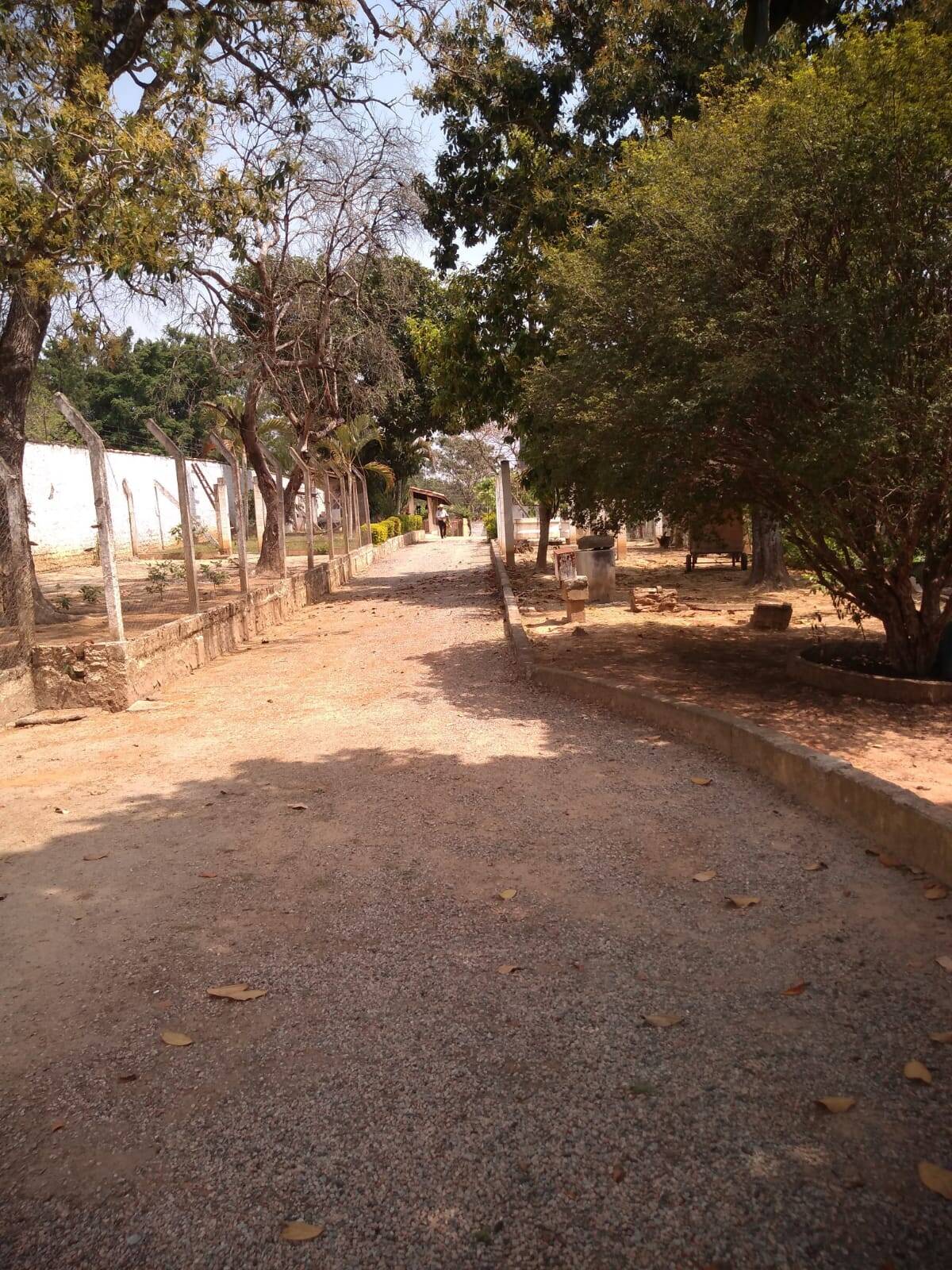 Sítio, 4 quartos, 1 hectares - Foto 3