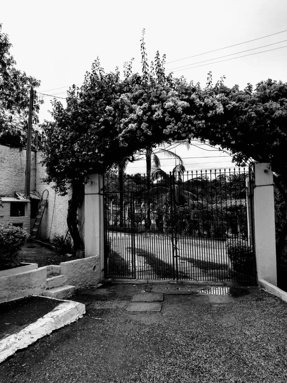 Sítio, 4 quartos, 1 hectares - Foto 14