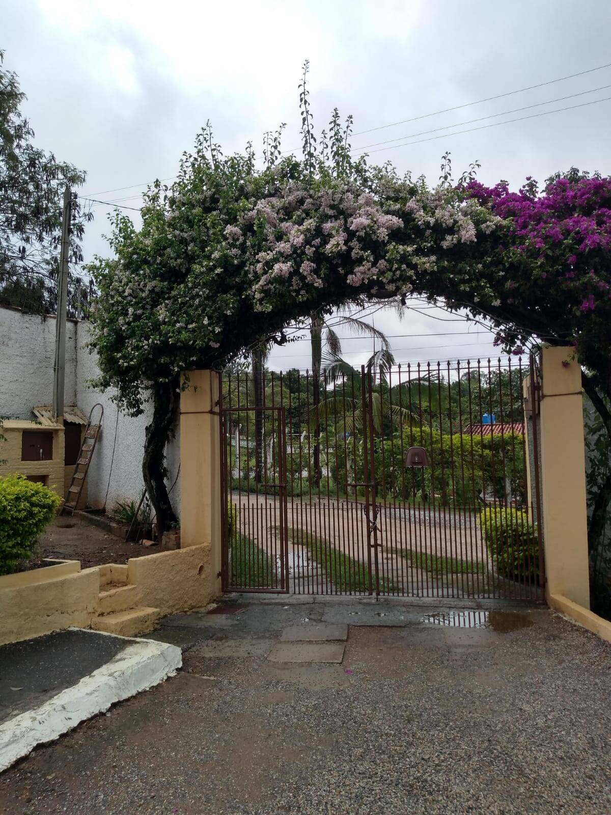 Sítio, 4 quartos, 1 hectares - Foto 15