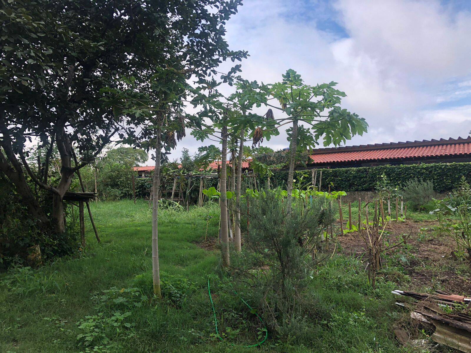 Terreno, 1500 m² - Foto 6