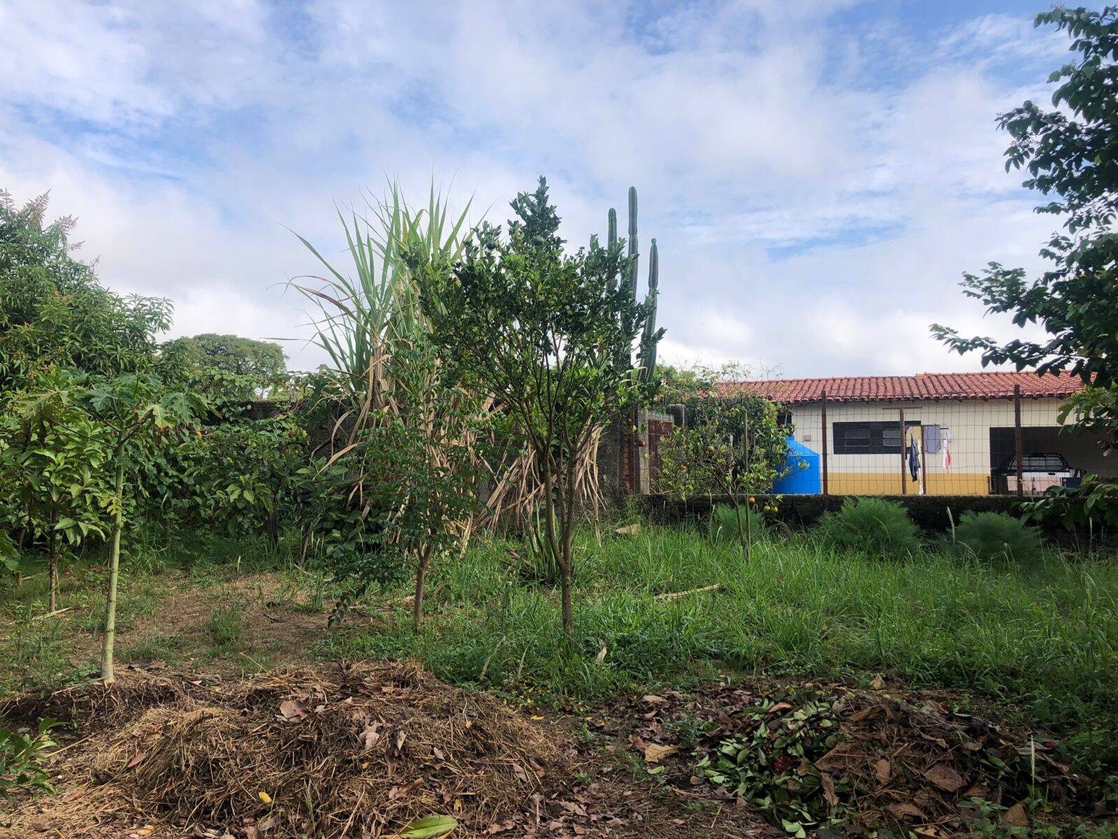 Terreno, 1500 m² - Foto 10