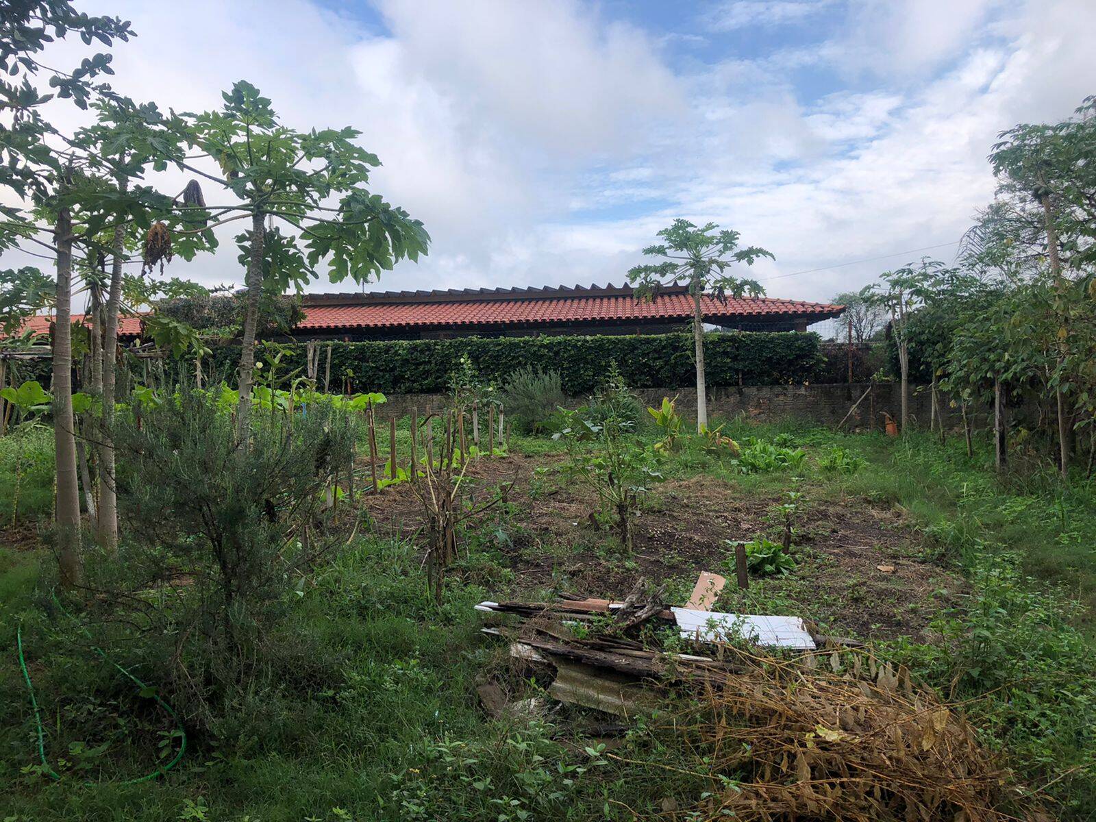 Terreno, 1500 m² - Foto 11