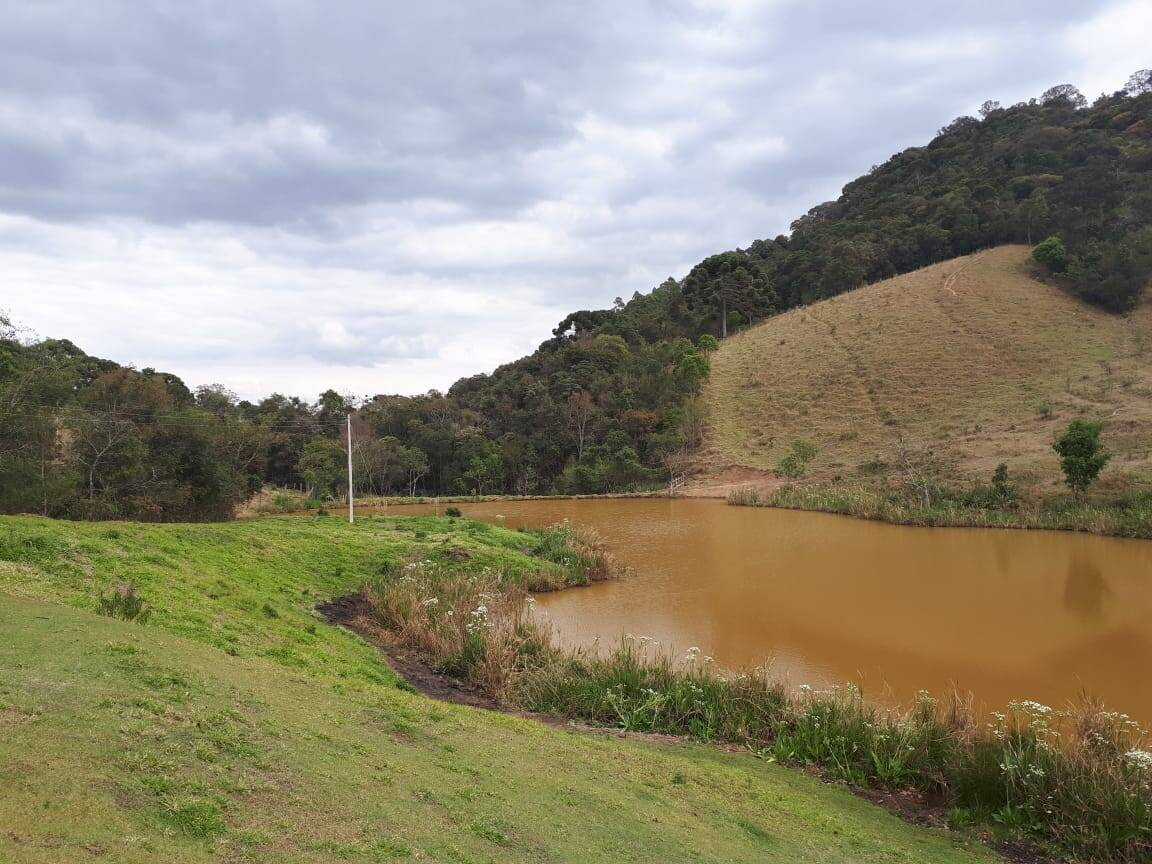 Sítio, 4 quartos, 20 hectares - Foto 4