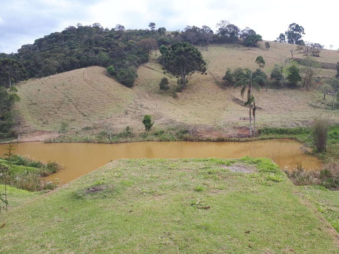 Sítio, 4 quartos, 20 hectares - Foto 11