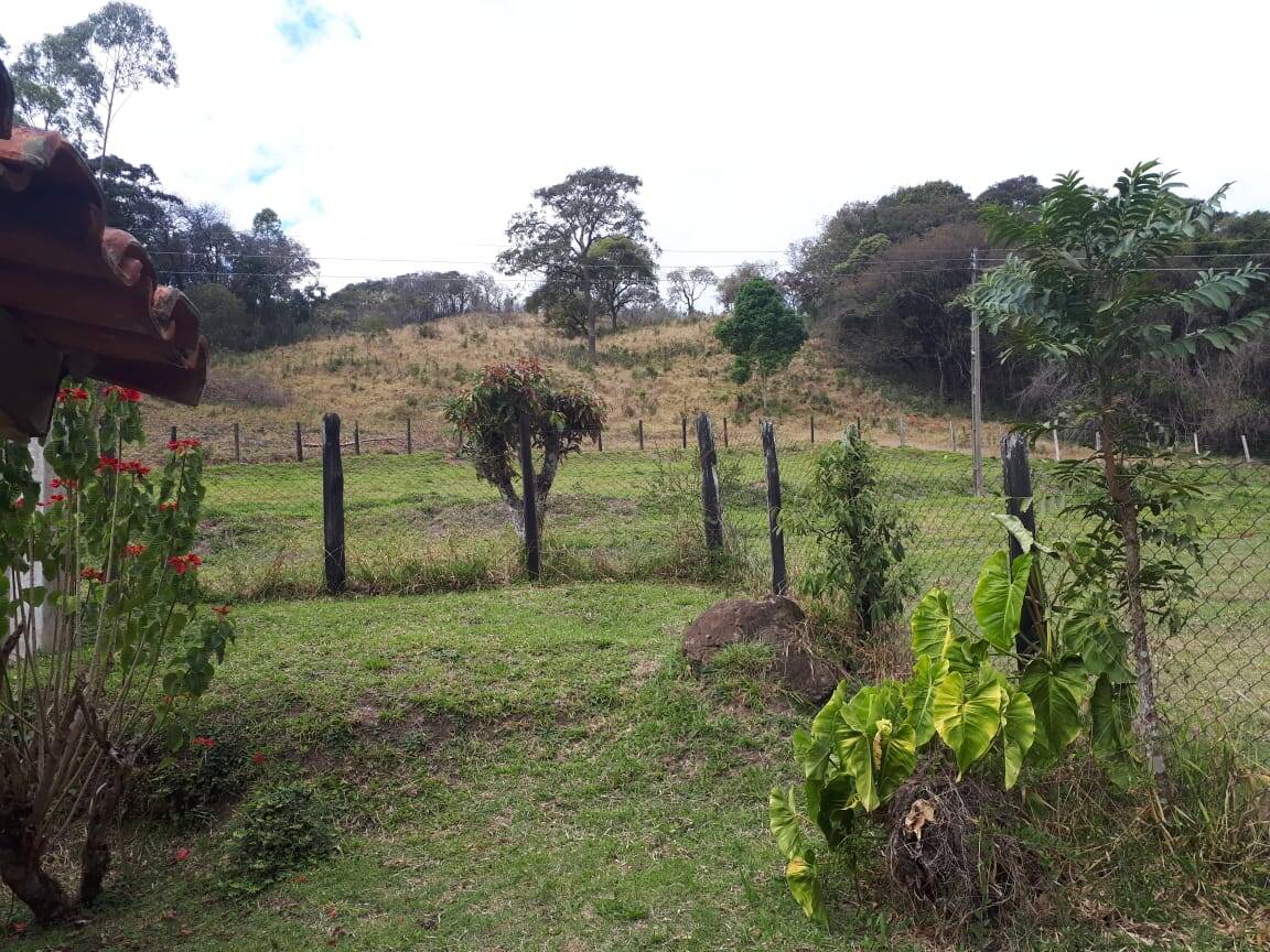 Sítio, 4 quartos, 20 hectares - Foto 10