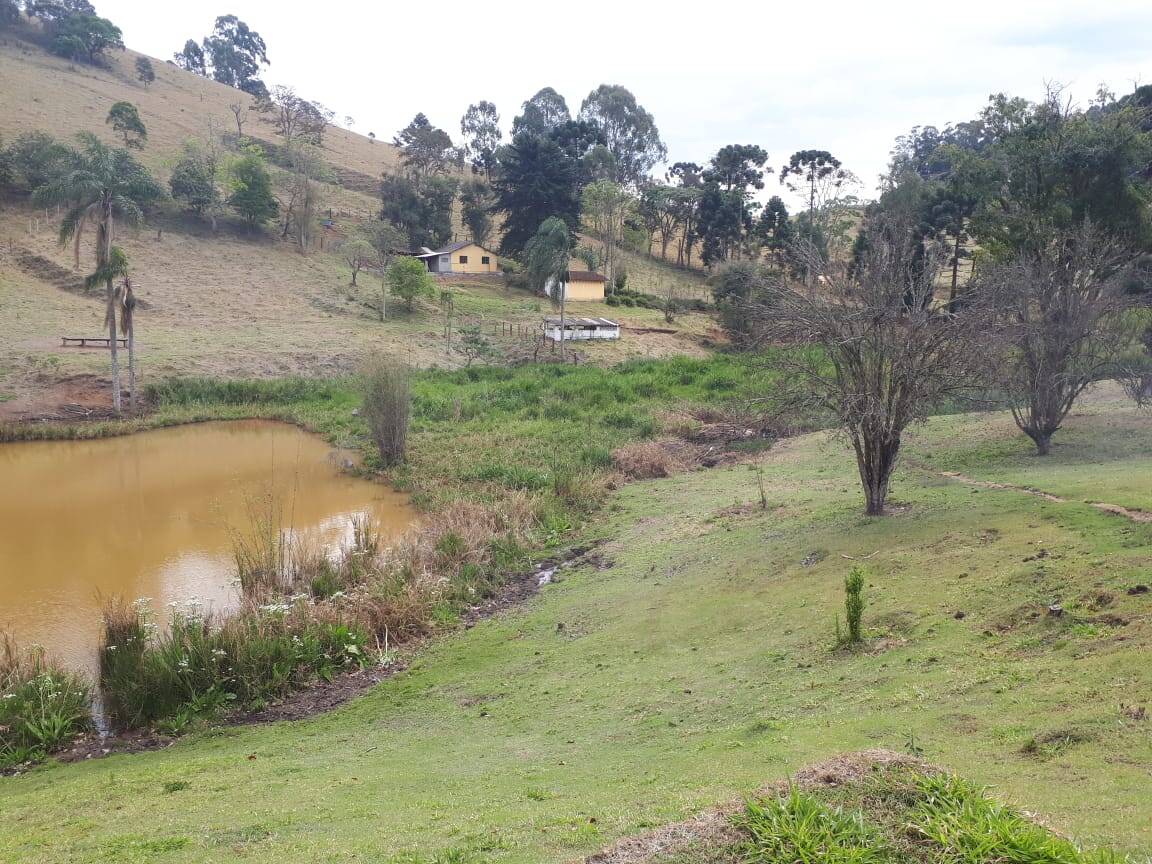 Sítio, 4 quartos, 20 hectares - Foto 12