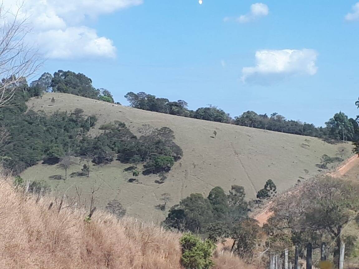 Sítio, 4 quartos, 20 hectares - Foto 16