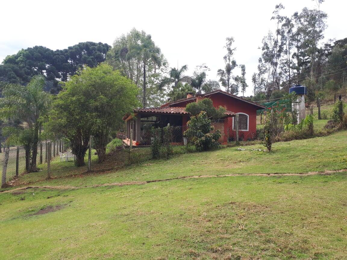 Sítio, 4 quartos, 20 hectares - Foto 15