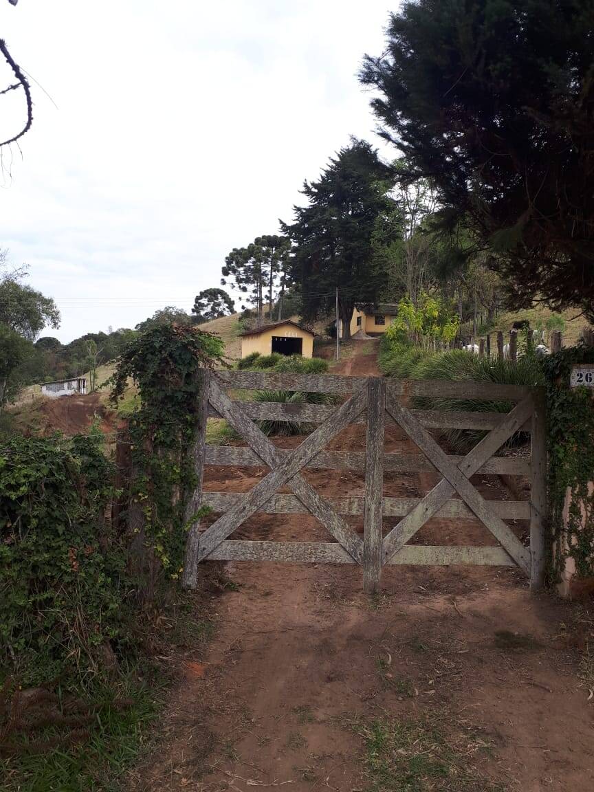 Sítio, 4 quartos, 20 hectares - Foto 18