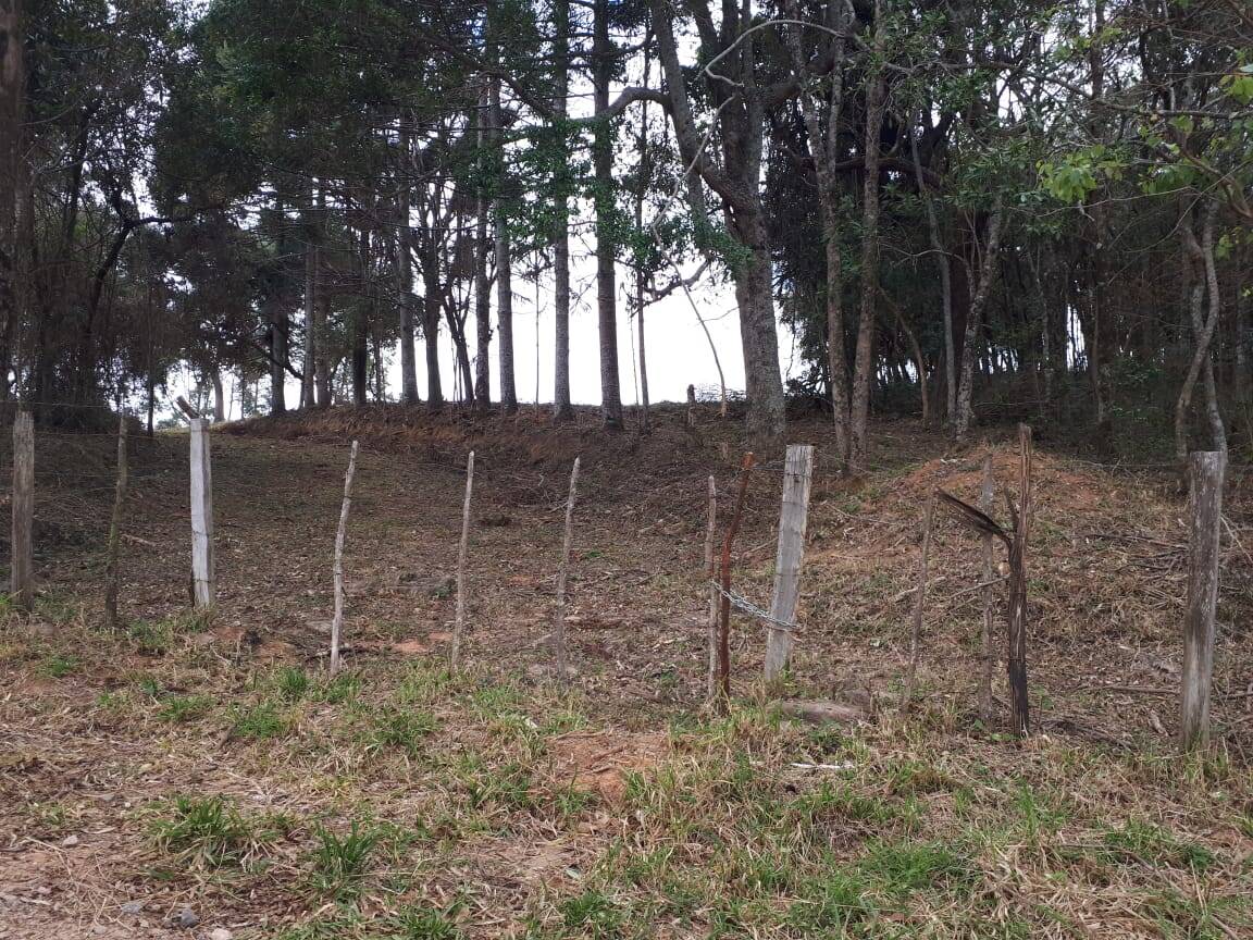 Sítio, 4 quartos, 20 hectares - Foto 21