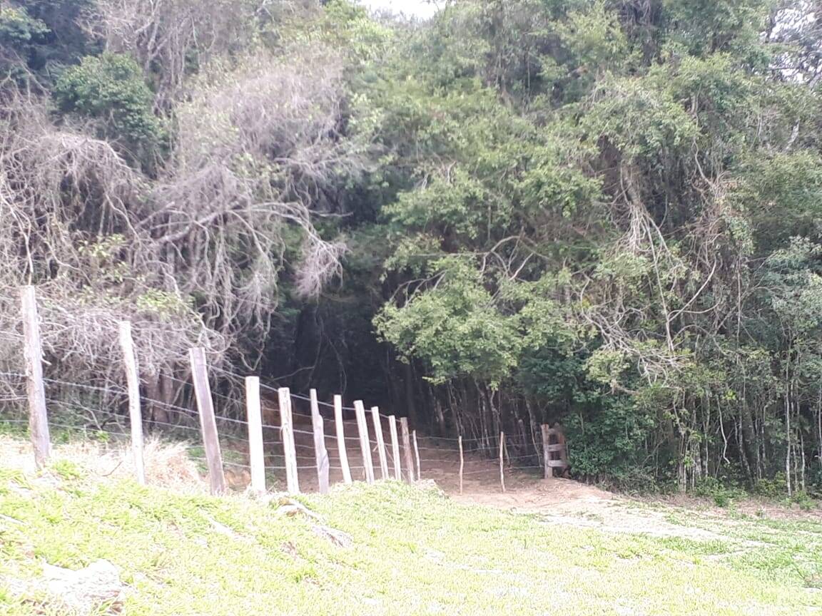 Sítio, 4 quartos, 20 hectares - Foto 22