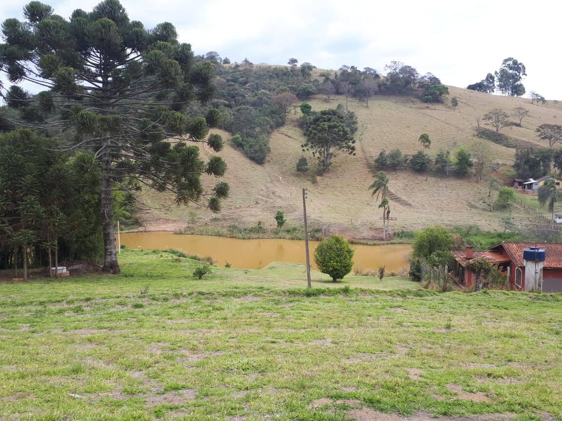 Sítio, 4 quartos, 20 hectares - Foto 23