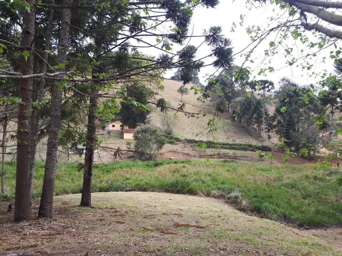 Sítio, 4 quartos, 20 hectares - Foto 26