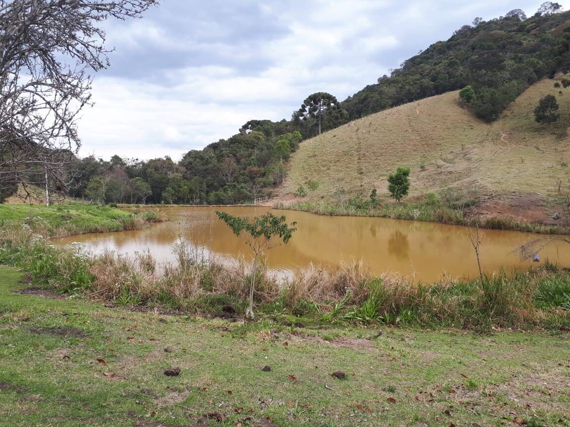 Sítio, 4 quartos, 20 hectares - Foto 29