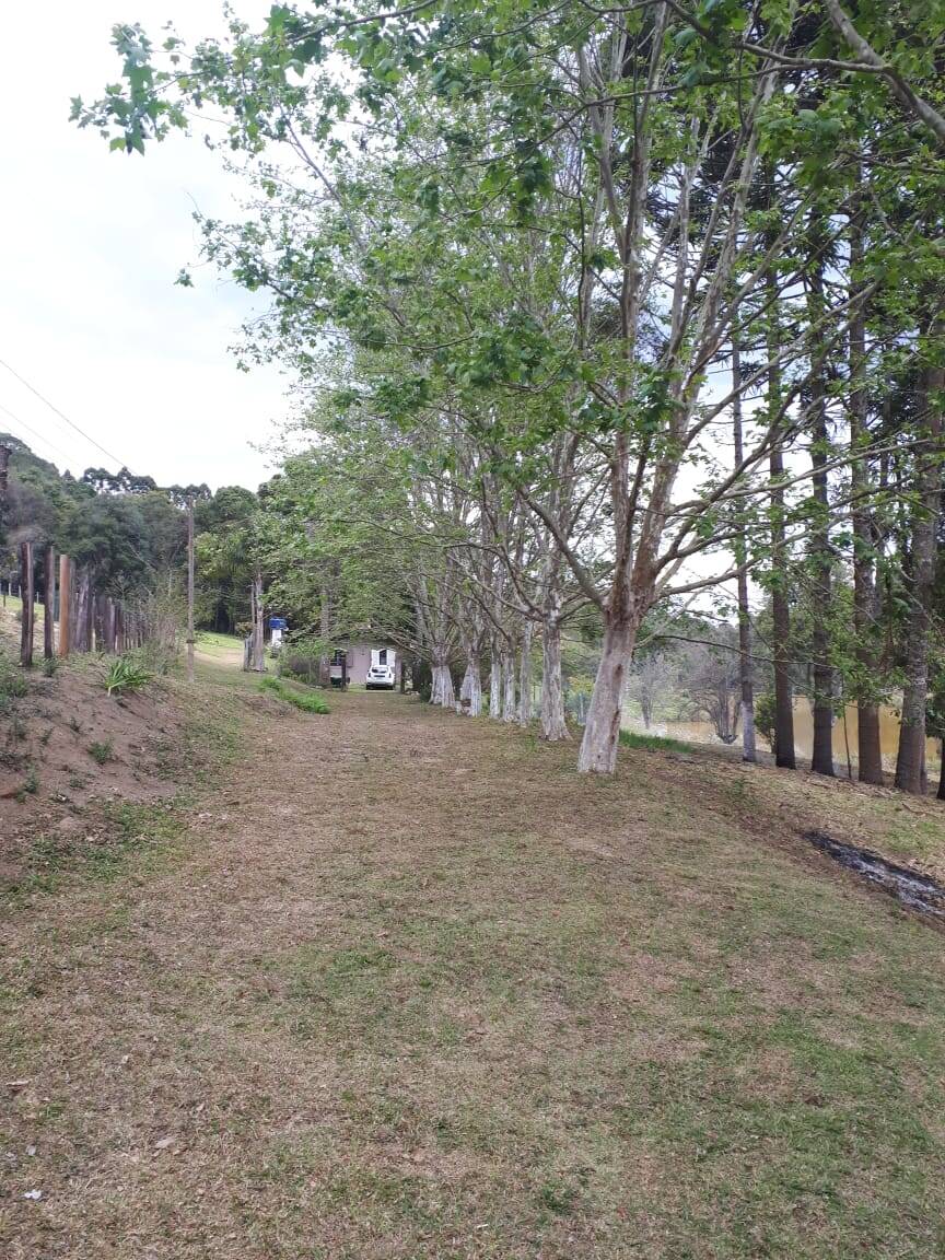 Sítio, 4 quartos, 20 hectares - Foto 39