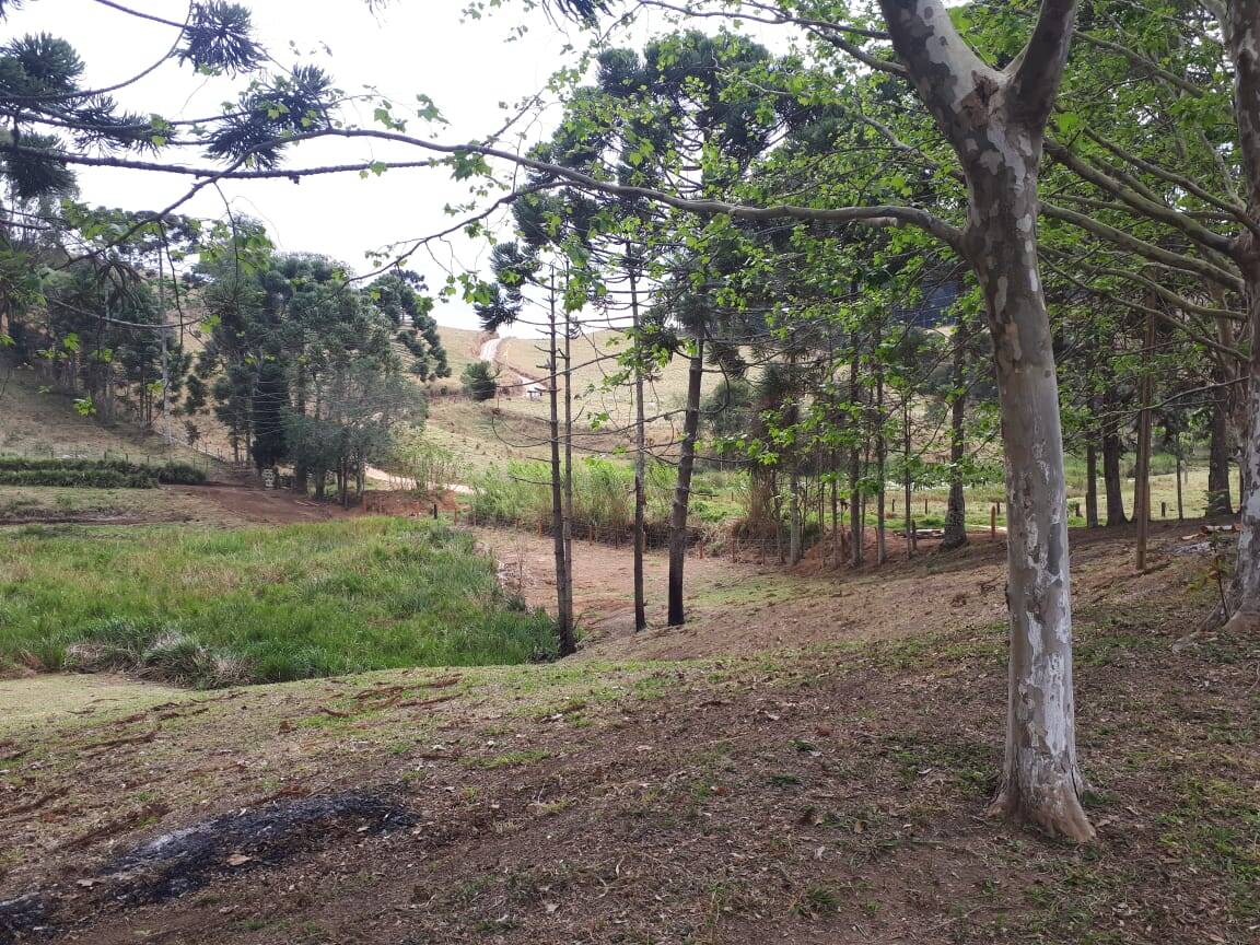 Sítio, 4 quartos, 20 hectares - Foto 42