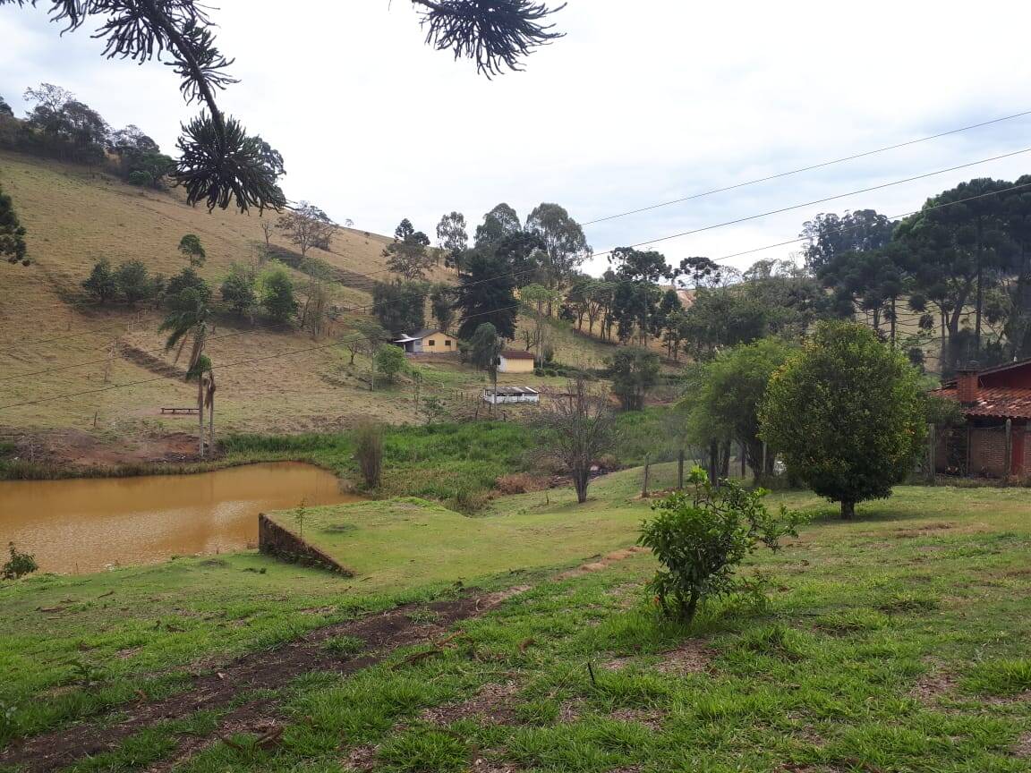 Sítio, 4 quartos, 20 hectares - Foto 44