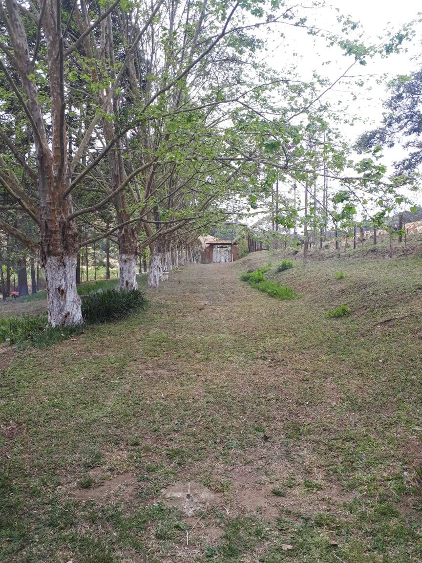 Sítio, 4 quartos, 20 hectares - Foto 45