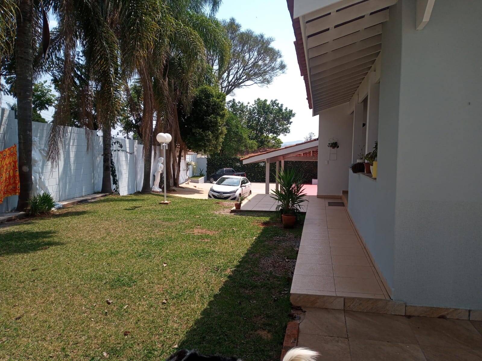 Chácara, 3 quartos, 1000 m² - Foto 11