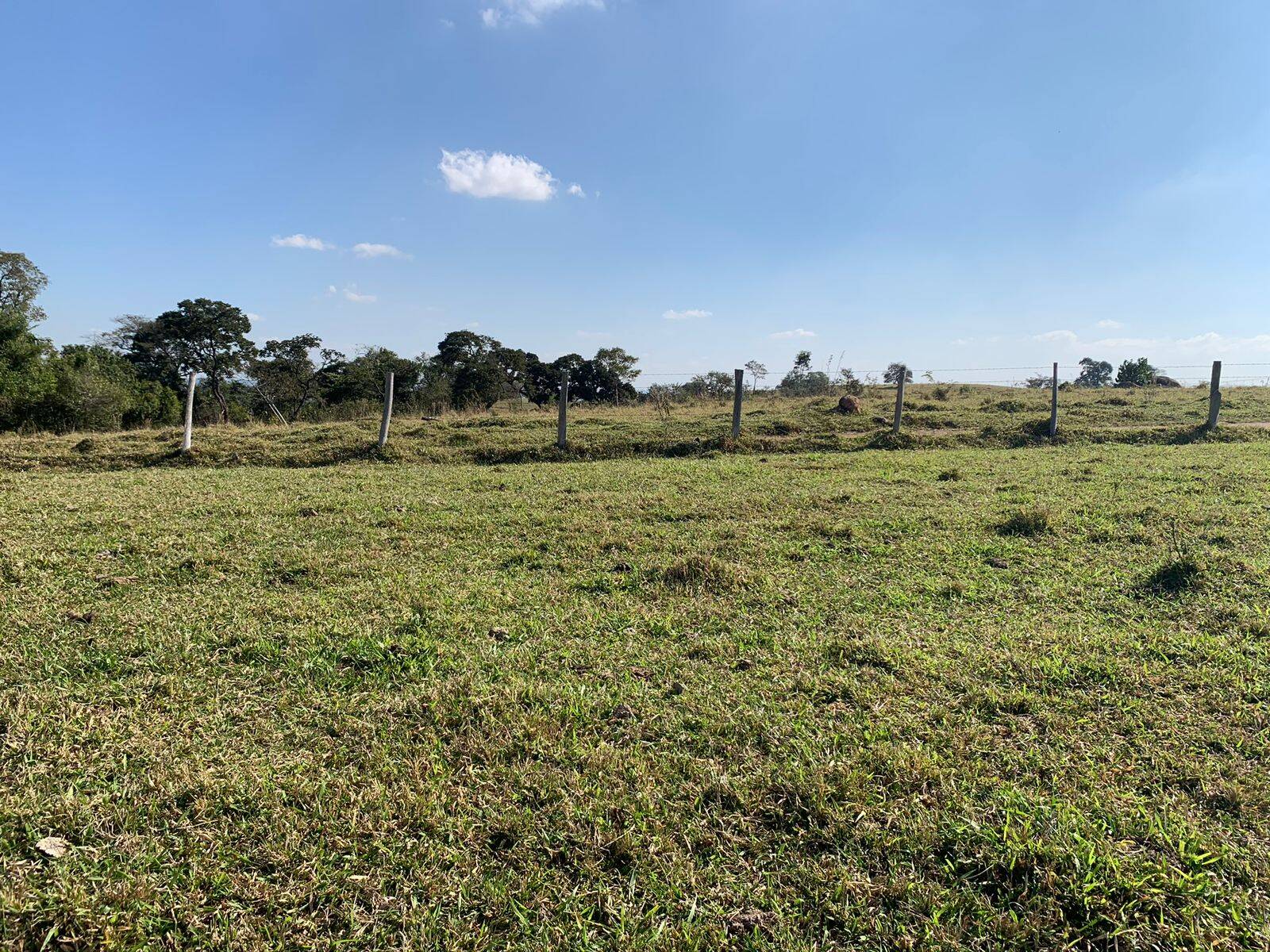 Terreno, 18 hectares - Foto 5