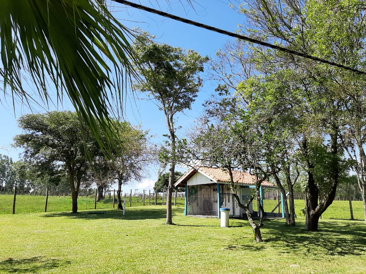 Sítio, 3 quartos, 103 hectares - Foto 3