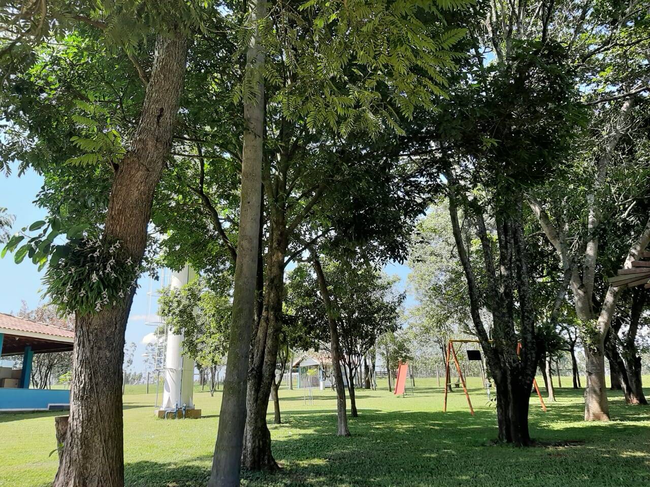 Sítio, 3 quartos, 103 hectares - Foto 7