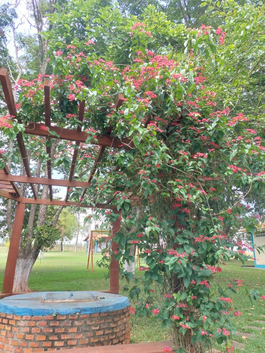 Sítio, 3 quartos, 103 hectares - Foto 9