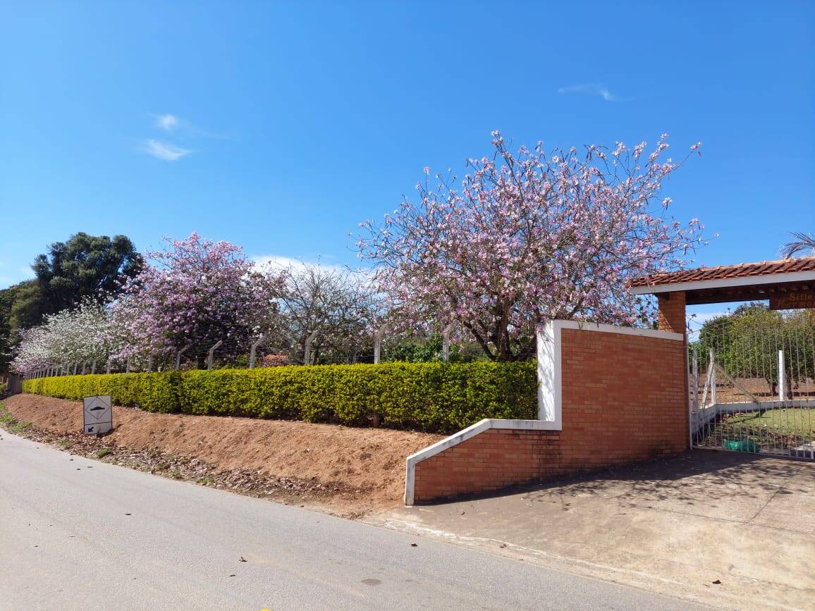 Sítio, 3 quartos, 103 hectares - Foto 10