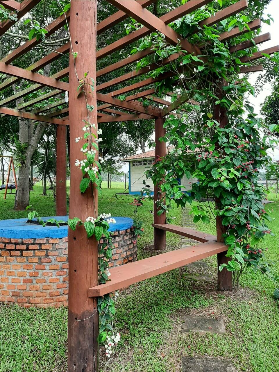 Sítio, 3 quartos, 103 hectares - Foto 11