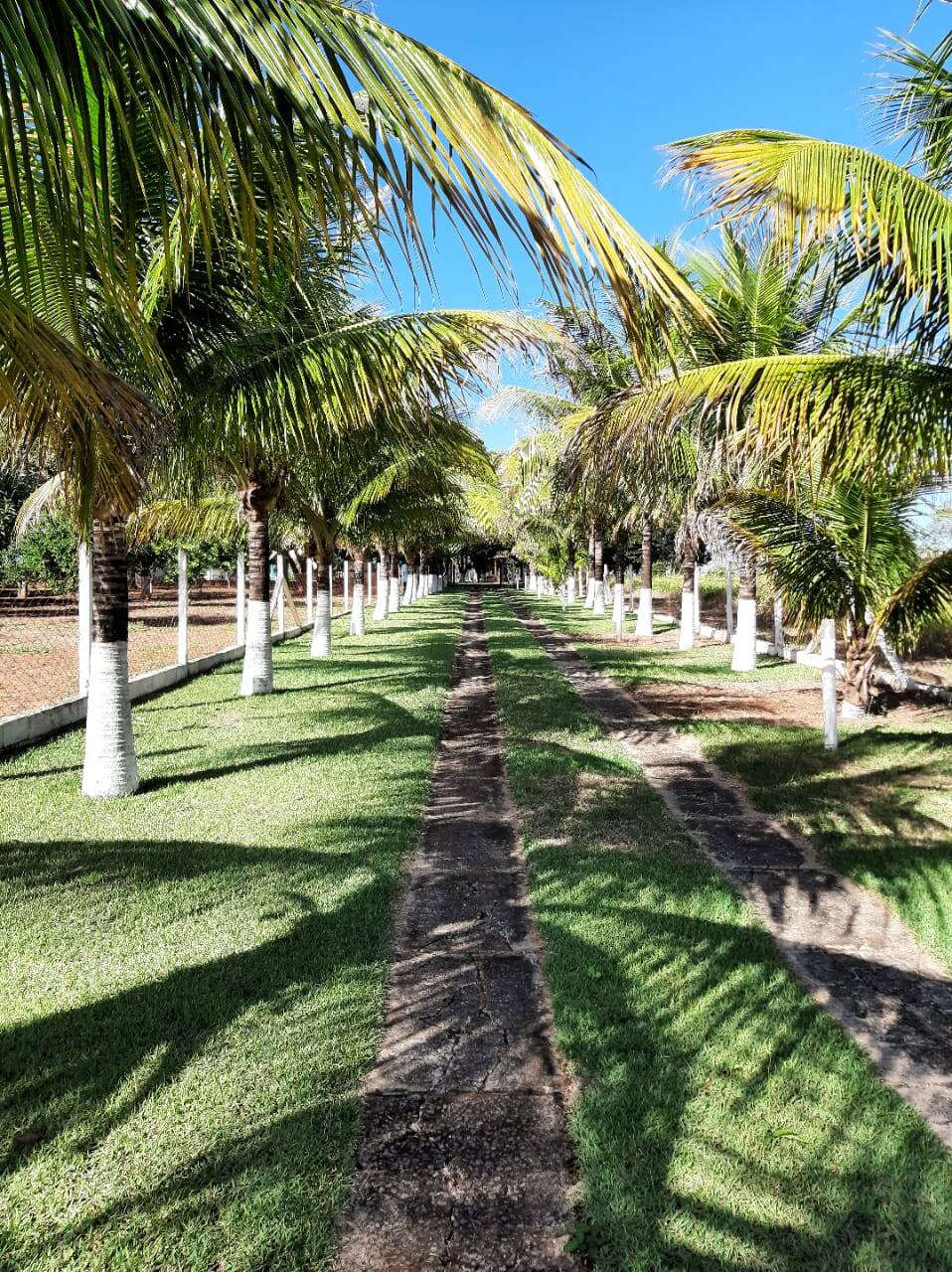 Sítio, 3 quartos, 103 hectares - Foto 1