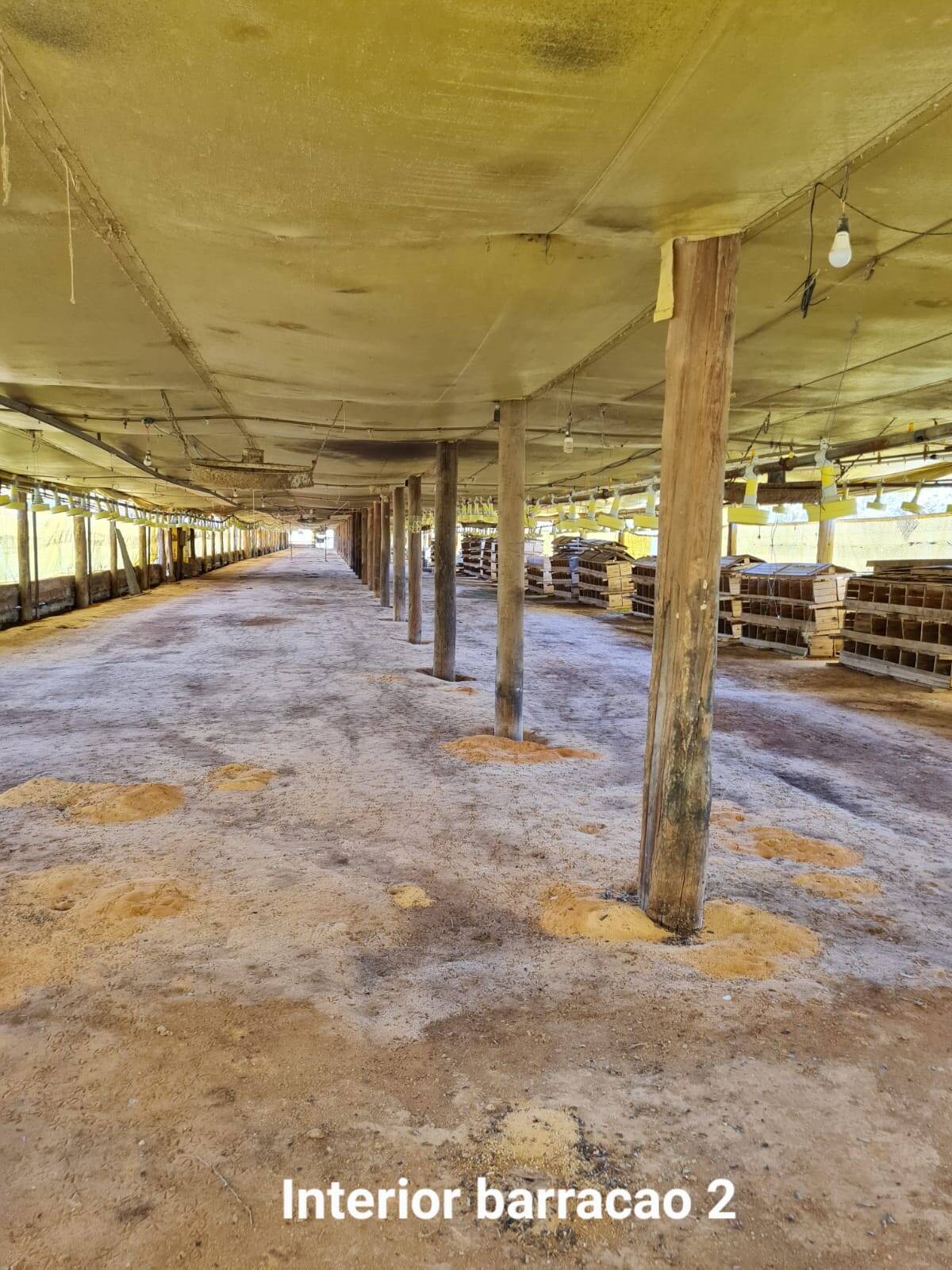 Terreno, 2 m² - Foto 17