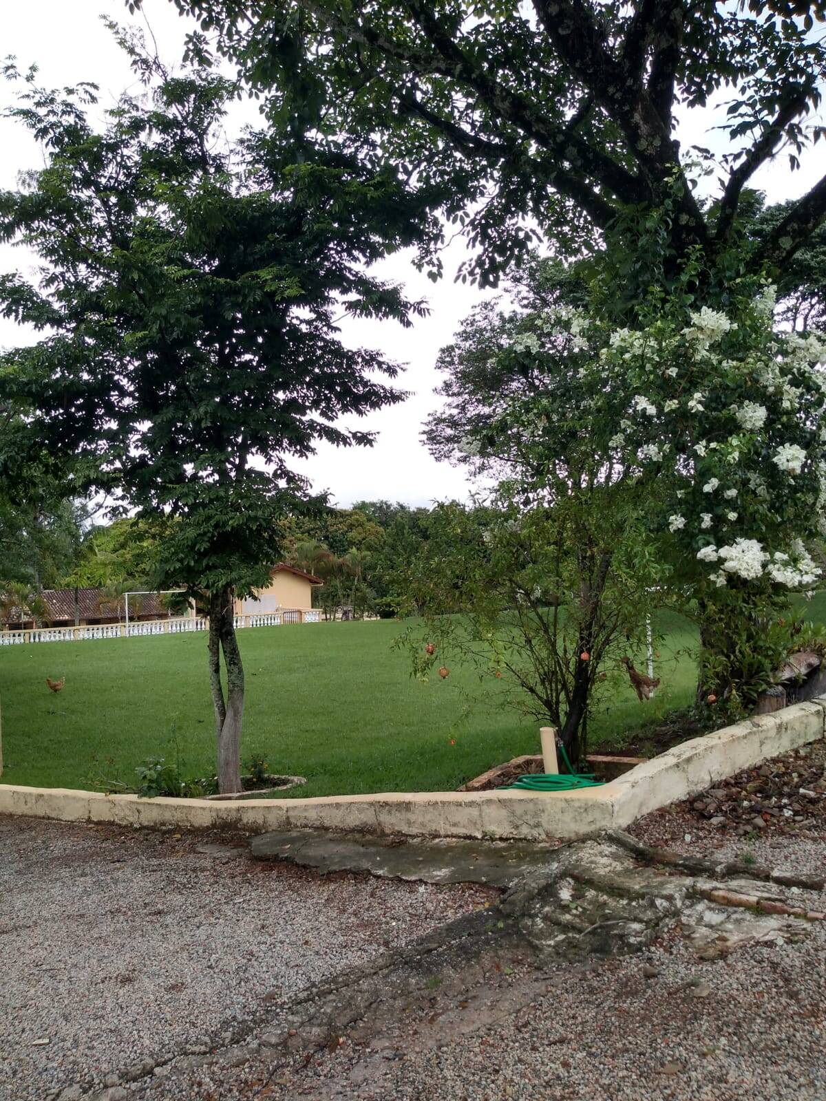 Chácara, 7 quartos, 1 hectares - Foto 9