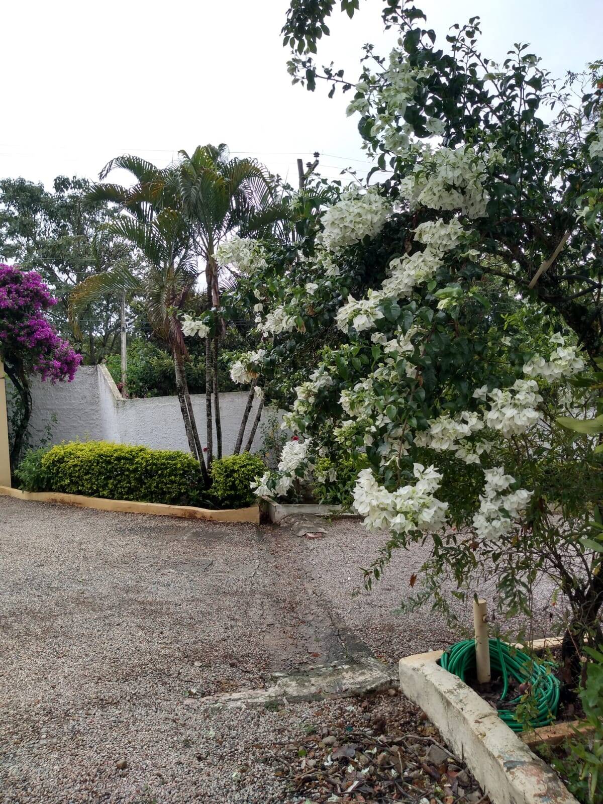 Chácara, 7 quartos, 1 hectares - Foto 12