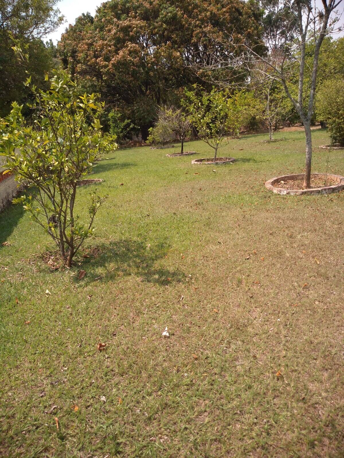 Chácara, 7 quartos, 1 hectares - Foto 18